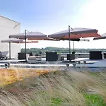 Golden Tulip