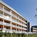 Golden Tulip
