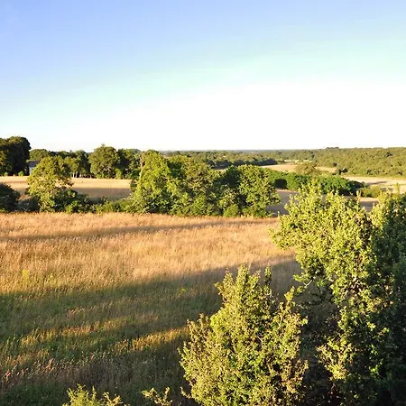 Golden Tulip Suites-